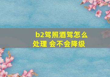 b2驾照酒驾怎么处理 会不会降级